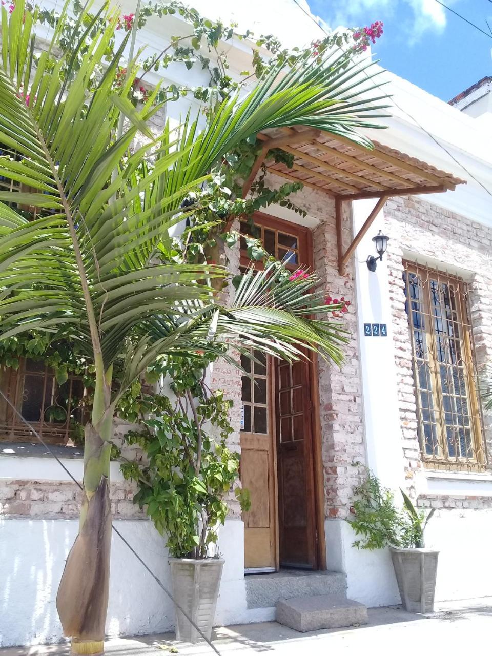 Frida Casa Hostel Pelotas Exteriér fotografie